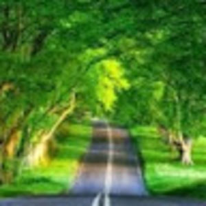 Meet your Posher, Sumithasudheesh